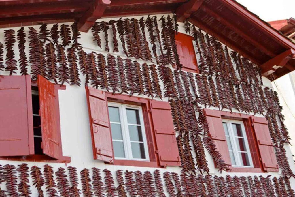 Maison Muruzabal Etxea Espelette Exterior foto